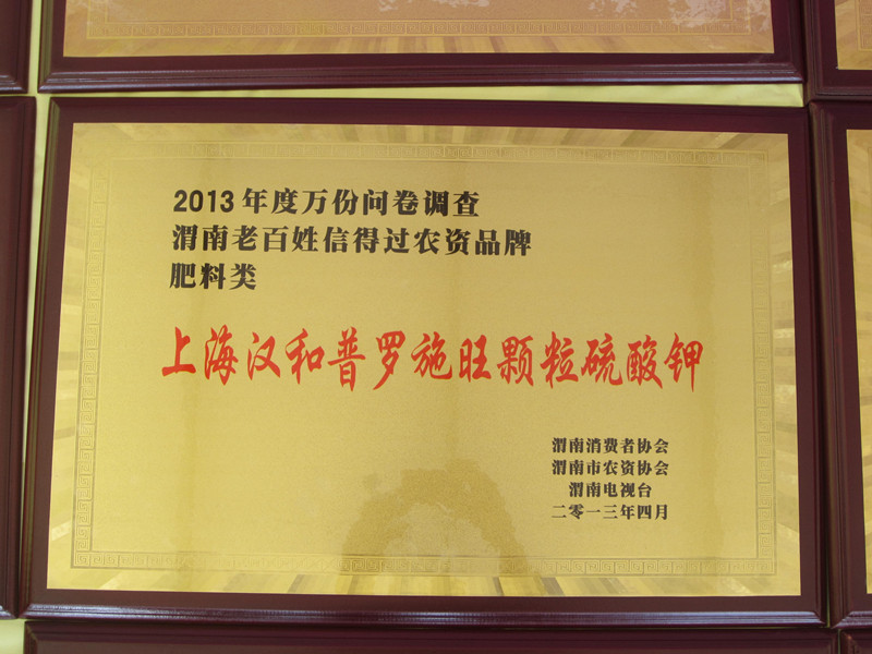 �Ϻ��h�����_ʩ���w������⛵ī@������